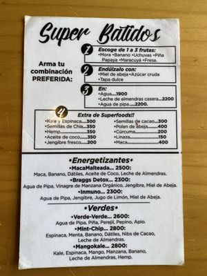 Menu at El Buho Vegetariano in San Jose