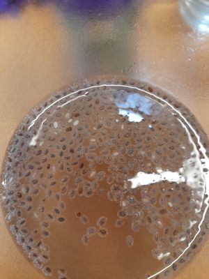 Drink with chia at El Buho Vegetariano in San Jose