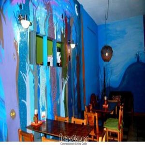 bright colors of the eating area at El Buho Vegetariano in San Jose