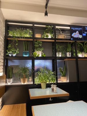   at Swing Kitchen in Innsbruck