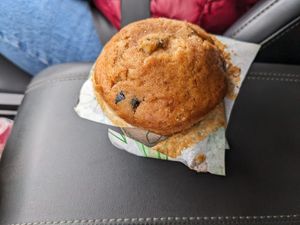  Blueberry Muffin  at Color Nativo in Puerto Varas