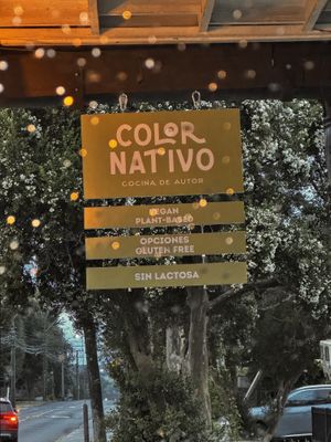   at Color Nativo in Puerto Varas