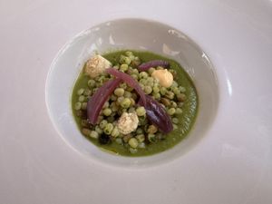 Gazpacho, fregola mediterranea e formaggio vegano  at Cerchio Rosso in Cagliari