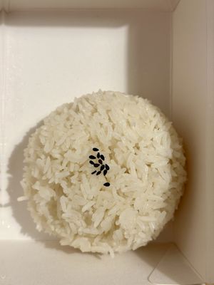 Plain ricee  at Ravioli Wang in Florence