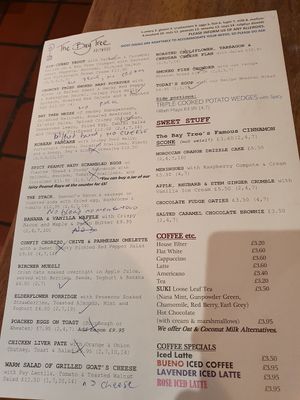 Current menu adapted for vegans at The Bay Tree in Holywood