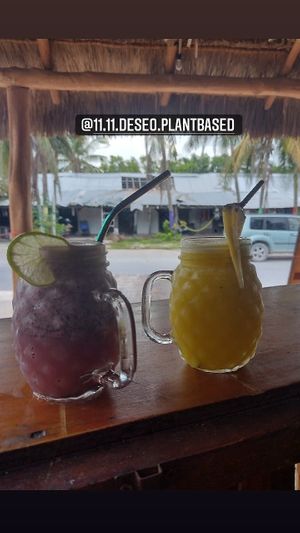 Indigo ,Amarillo at 11:11 juices & smoothies  in Puerto Morelos