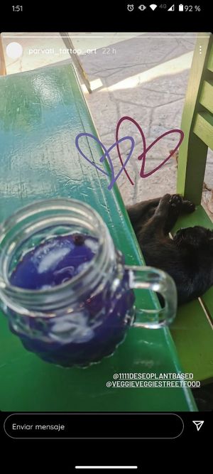  at 11:11 juices & smoothies  in Puerto Morelos