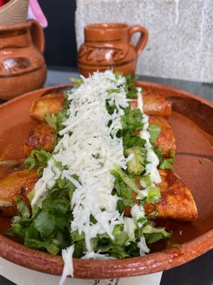 Enchiladas at Mictlan Antojitos Veganos in Mexico City