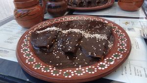 Enmoladas   at Mictlan Antojitos Veganos in Mexico City