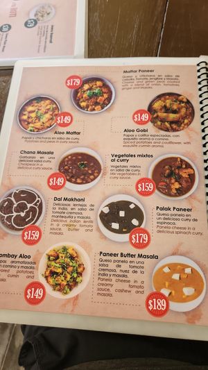  at Aryan Indian Food in Playa Del Carmen