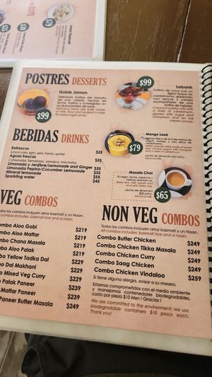  at Aryan Indian Food in Playa Del Carmen