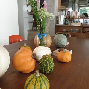 very nice setting at Qyun Fermented Cafe 큔 in Seoul