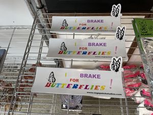 Merch at Vegepatch Studios in Palm Beach