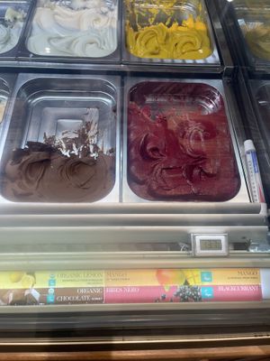 Vegan flavors   at Amorino in Plano