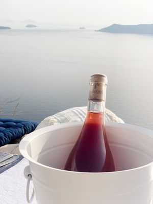 Santorini Vegan Wine   at Mod Santorini in Santorini