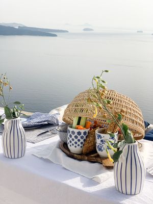 Vegan picnic  at Mod Santorini in Santorini