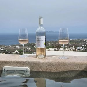 Vegan Greek Orange Wine at Mod Santorini in Santorini