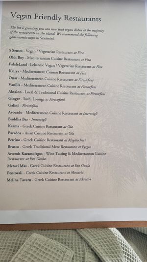 Recommendations for vegan friendly eats across Santorini  at Mod Santorini in Santorini