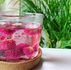 Chá de Trevo Vermelho - feito com água osmose filtrada at Vegan Point Porto in Porto