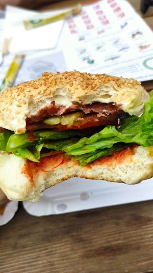 Veganski Burger at Bistro Hladovina in Plitvicka Jezera