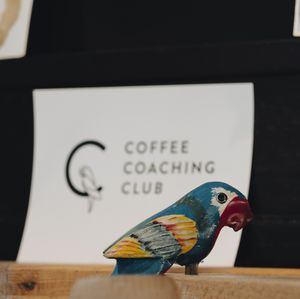 The Coffee Coaching Club parrot  at Coffee Coaching Club in Bern