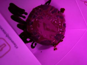 brownie cookie with caramel  at Heavenly Desserts in Watford