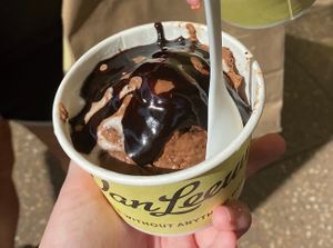 Fudge Brownie Ice Cream with Hot Fudge  at Van Leeuwen Ice Cream - City Center in Philadelphia