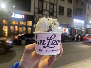 Vegan Mint Chocolate Chip Ice Cream  at Van Leeuwen Ice Cream - City Center in Philadelphia