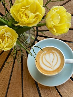 vegan oat cappuccino at Kaffeesurium in Furth