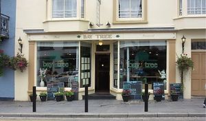 Bay Tree  at The Baytree in Tenby