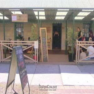 View from front at Sacred Kitchen in Fremantle