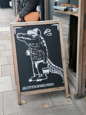 Crocodile at Common Ground in North London