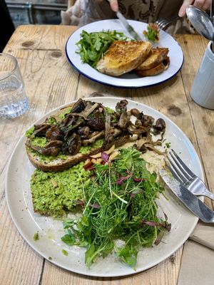   at Common Ground in North London