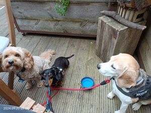 They're welcomed too at Common Ground in North London