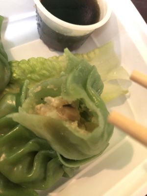 A12 vegetarian dumplings  at CoCo Lin Vegetarian House in Ridgewood