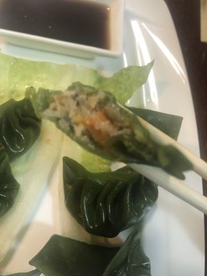 A12 vegetarian dumplings   at CoCo Lin Vegetarian House in Ridgewood