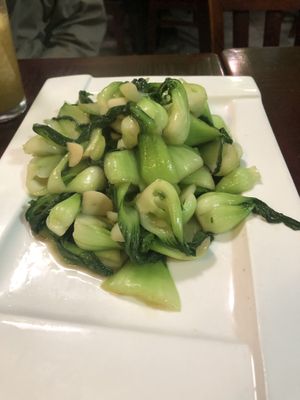 V4 stir fry Shanghai bok choy   at CoCo Lin Vegetarian House in Ridgewood