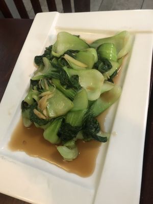 V4 stir fry Shanghai bokchoy  at CoCo Lin Vegetarian House in Ridgewood