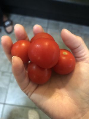 Tomato   at CoCo Lin Vegetarian House in Ridgewood