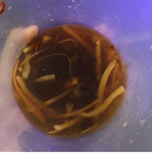 Hot and sour soup  at CoCo Lin Vegetarian House in Ridgewood