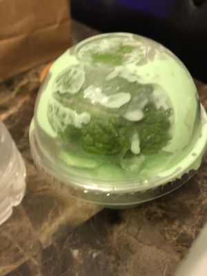 Pistachio vegan ice cream  at CoCo Lin Vegetarian House in Ridgewood