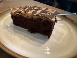Brownie  at Sabs in Horgau