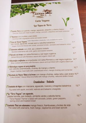 Menu vegano at Terra in Javea