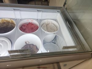 Vegan tropical punch, vegan chocolate, and vegan coconut at Mamoo's Creamery in Hot Springs