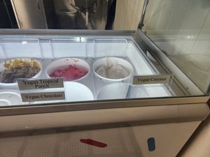 Vegan tropical punch, vegan chocolate, and vegan coconut at Mamoo's Creamery in Hot Springs