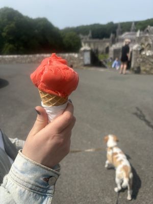 Blood orange sorbet   at Nook in Haverfordwest