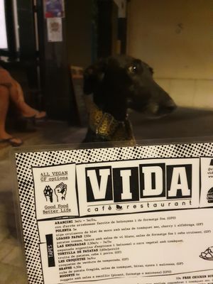 Carta at Vida Cafe in Barcelona
