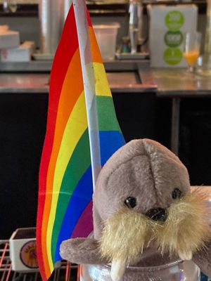  at The Walrus in Jacksonville