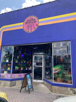  at The Walrus in Jacksonville