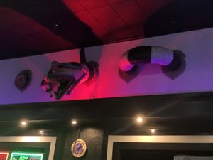 Interior   at The Walrus in Jacksonville